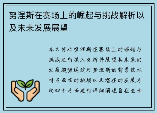努涅斯在赛场上的崛起与挑战解析以及未来发展展望