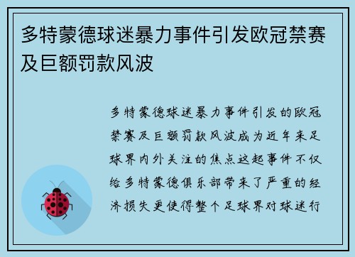 多特蒙德球迷暴力事件引发欧冠禁赛及巨额罚款风波