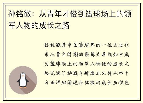 孙铭徽：从青年才俊到篮球场上的领军人物的成长之路