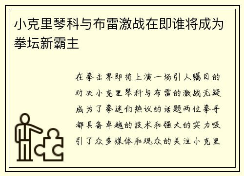 小克里琴科与布雷激战在即谁将成为拳坛新霸主