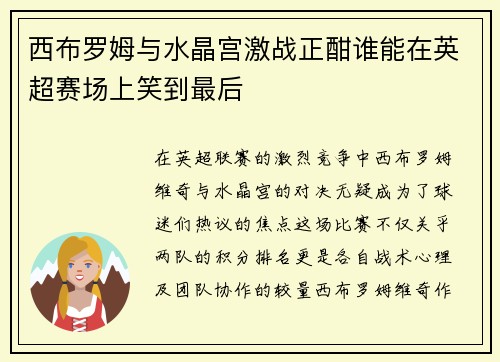 西布罗姆与水晶宫激战正酣谁能在英超赛场上笑到最后