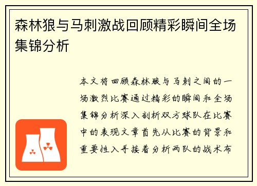森林狼与马刺激战回顾精彩瞬间全场集锦分析