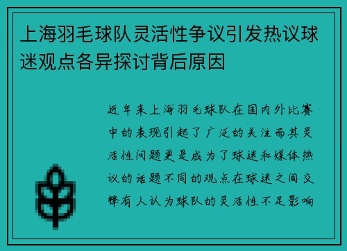 上海羽毛球队灵活性争议引发热议球迷观点各异探讨背后原因