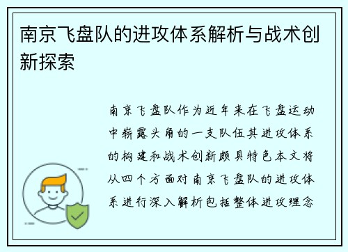 南京飞盘队的进攻体系解析与战术创新探索