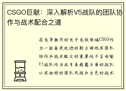 CSGO巨献：深入解析V5战队的团队协作与战术配合之道