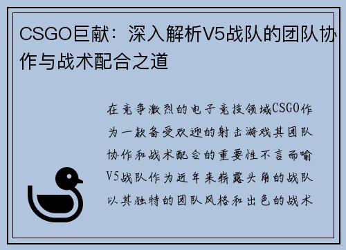 CSGO巨献：深入解析V5战队的团队协作与战术配合之道
