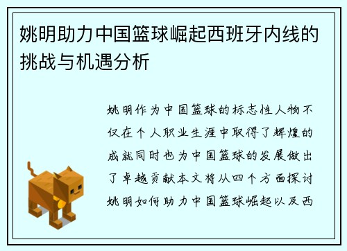 姚明助力中国篮球崛起西班牙内线的挑战与机遇分析