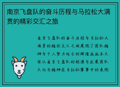 南京飞盘队的奋斗历程与马拉松大满贯的精彩交汇之旅
