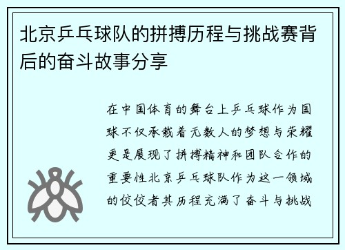 北京乒乓球队的拼搏历程与挑战赛背后的奋斗故事分享